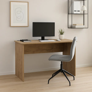 Econo Desk 1200